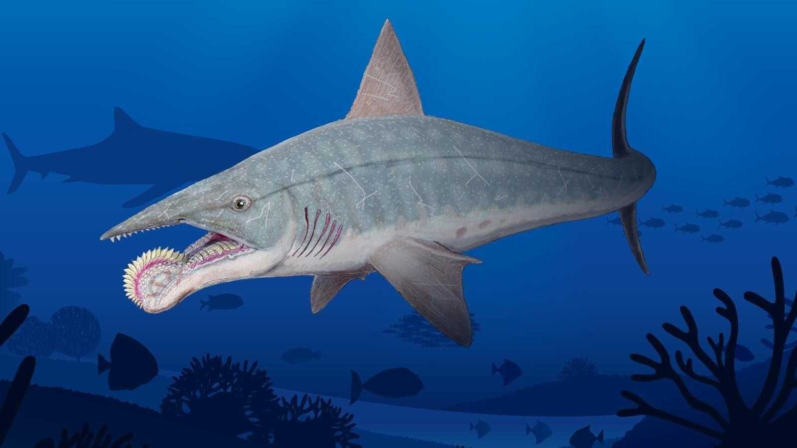 🚩 кто проживал на дне океана: доисторические морские существа