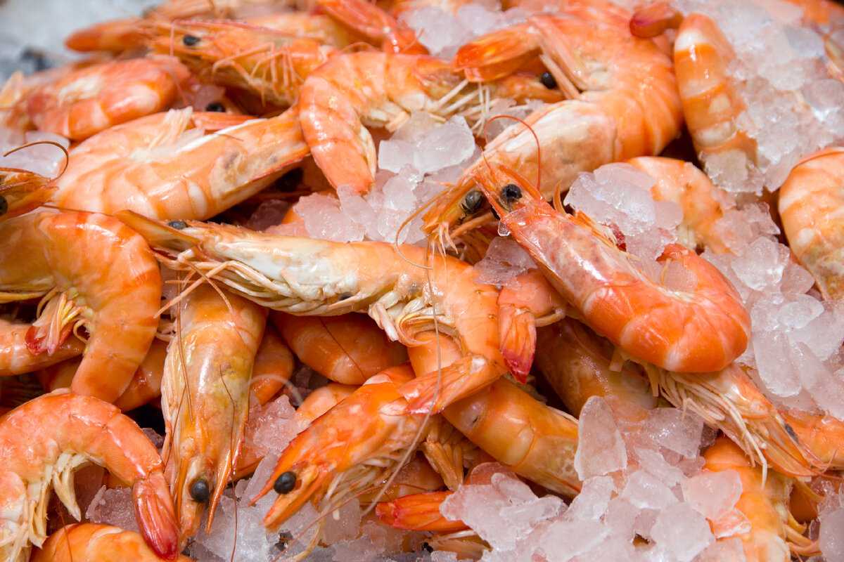 Диетический салат с креветками – очень вкусные пп рецепты