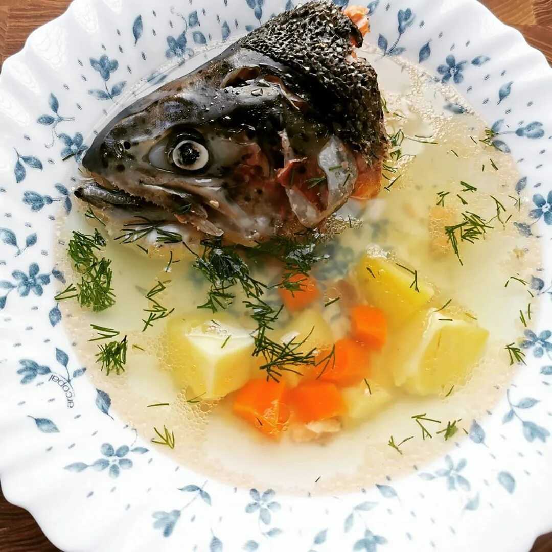 Как варить уху: готовим из головы рыбы