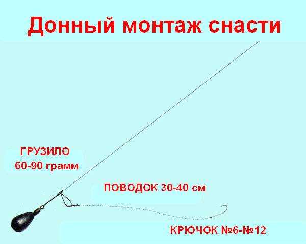Зимняя рыбалка на налима: где искать и на что клюет | животный мир