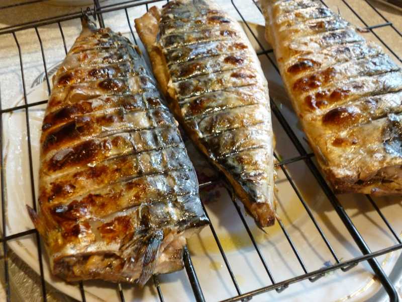 Шашлык из свинины с овощами на мангале