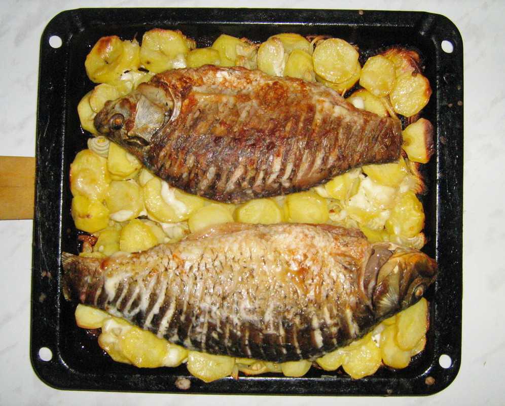 Вкуснейшие рецепты сазана, запечённого в духовке