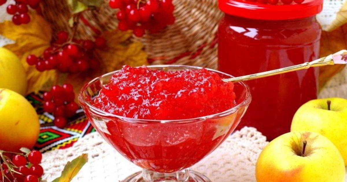 Компот из калины: польза для ребенка и взрослого, как приготовить напиток с яблоками, медом, рецепты заготовок на зиму