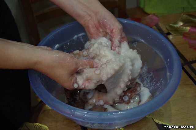 Как и сколько варить осьминога