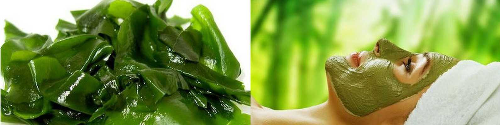 Ульва: полезные свойства и опасность продукта | food and health