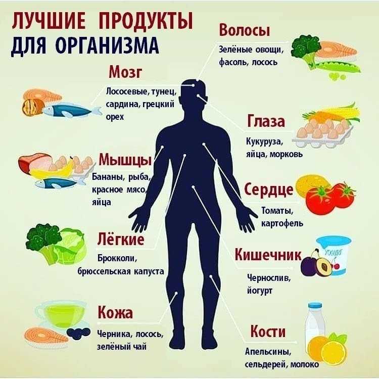 Cамая полезная рыба — 10 лучших сортов для здоровья человека