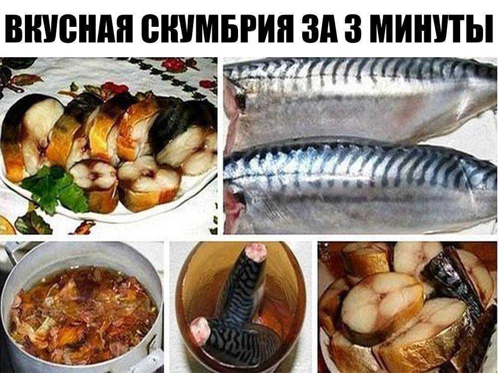 Скумбрия в луковой шелухе — лучшие рецепты. как правильно и вкусно приготовить cкумбрию в луковой шелухе.