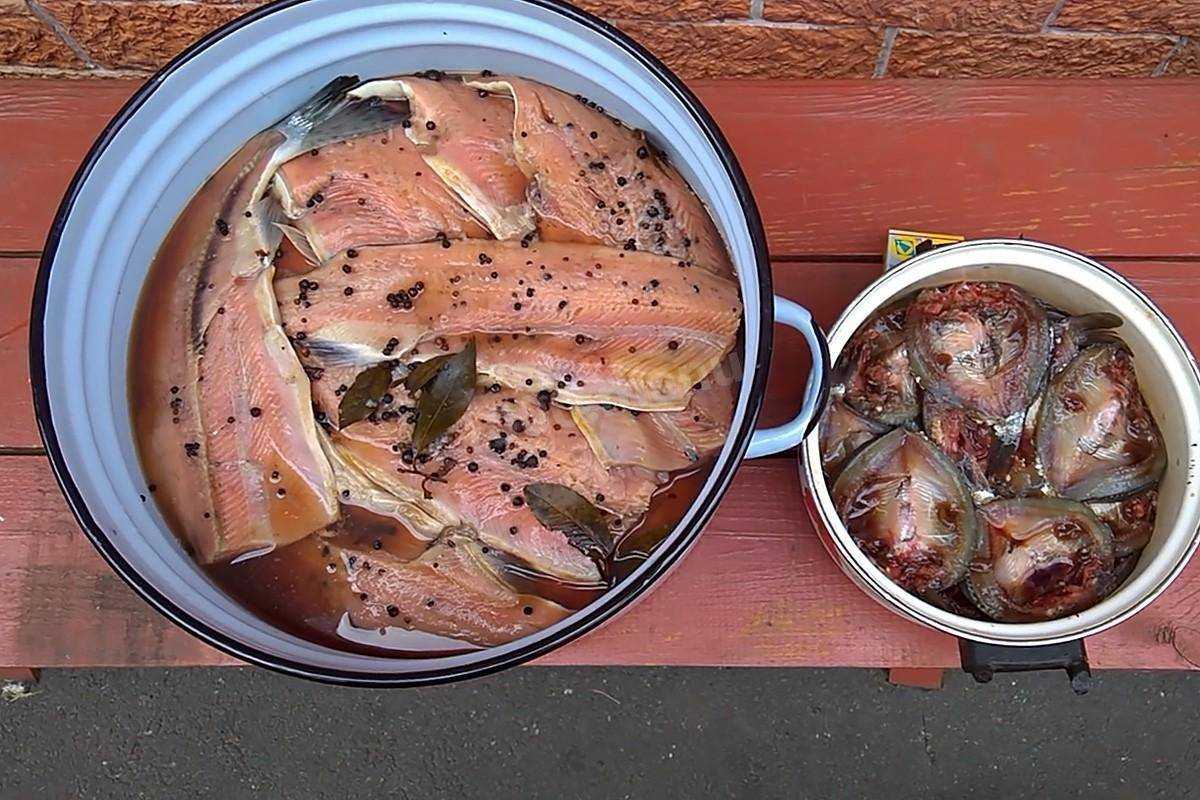 Как засолить лосося: в домашних условиях, вкусно и быстро, под семгу, для бутербродов, слабосоленый, для суши, кусочками, в рассоле