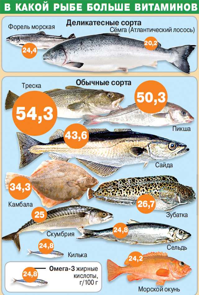 Рыбная диета. самая полезная рыба для похудения