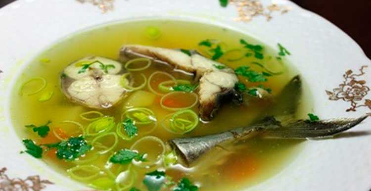Суп (уха) из скумбрии свежемороженой - просто,и вкусно
