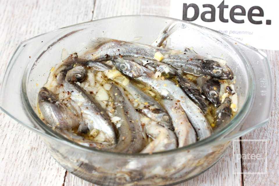 Горбуша в сметане с луком и морковью на сковороде - 10 пошаговых фото в рецепте