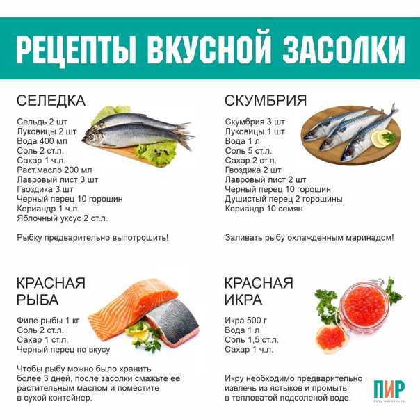 Какая красная рыба лучше для засолки: сравниваем виды лосося