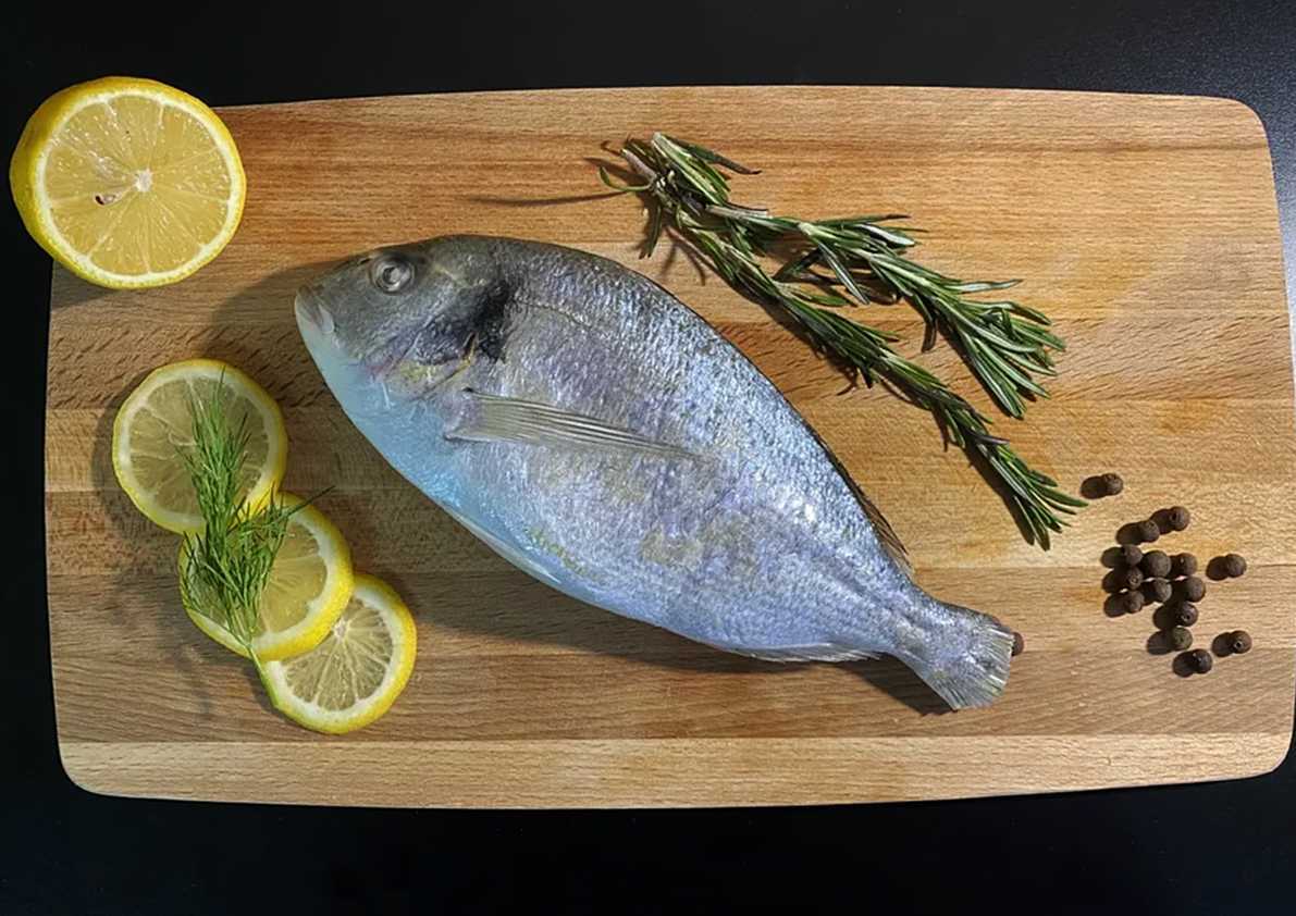 Кефаль что за рыба: фото, описание, рецепты