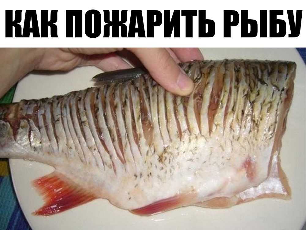 Рыба тушеная - 154 рецепта приготовления пошагово - 1000.menu