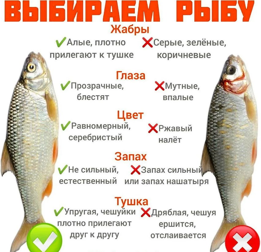 Какое зрение у рыб: цветное или черно-белое?