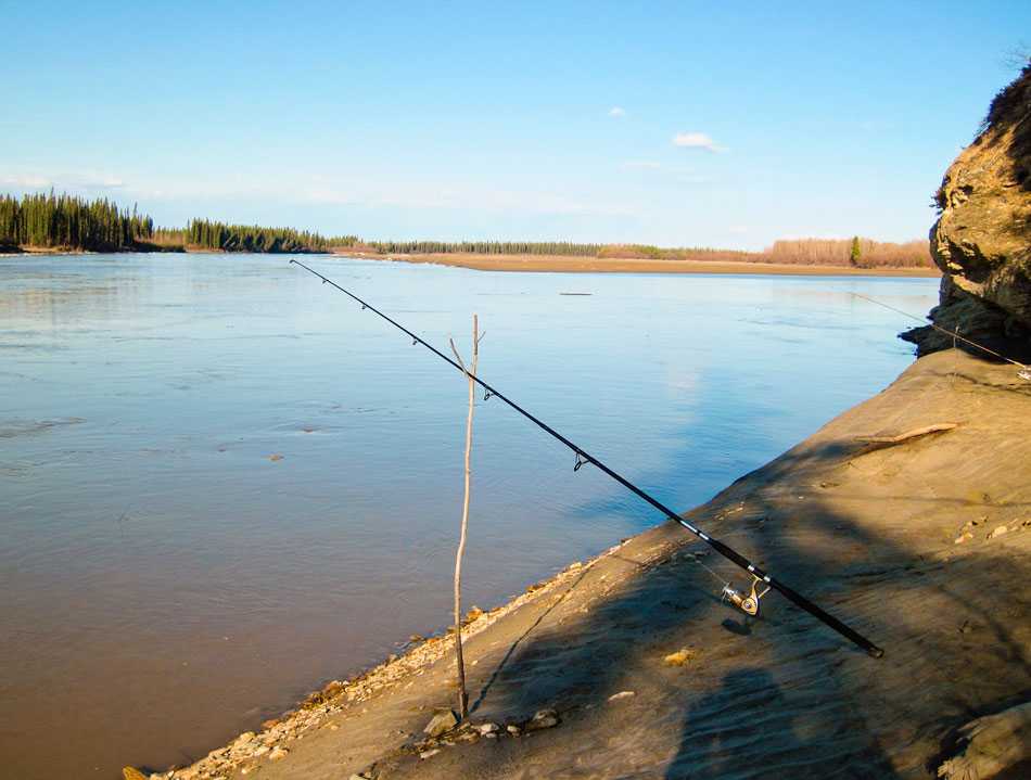 Ловля налима в октябре на донку - читайте на сatcher.fish