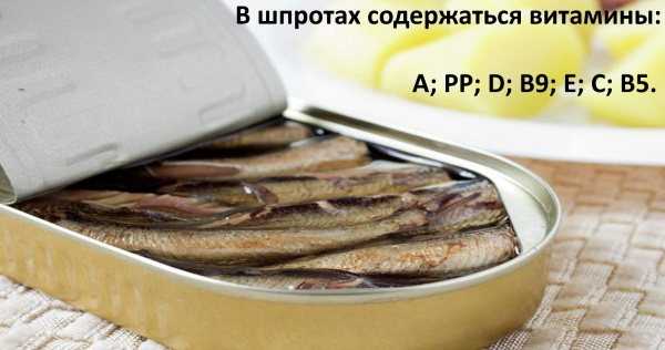 Рыба шпроты. калорийность и польза шпрот