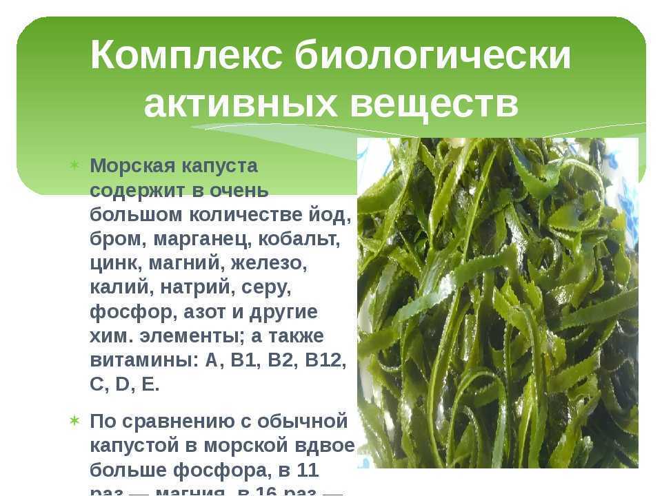 Квашеная капуста при подагре: можно ли есть, в период обострения, польза или вред