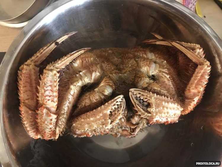 Сколько и как варить крабов?
