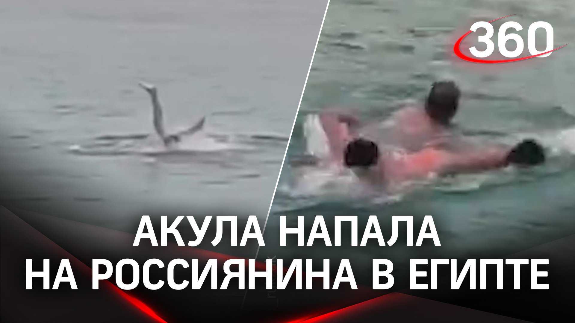 Кракен - гигантский осьминог