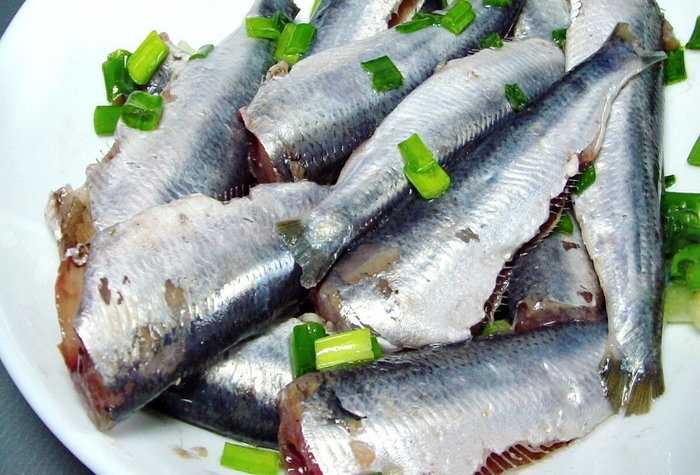 Как приготовить салаку — 5 рецептов вкусного приготовления
