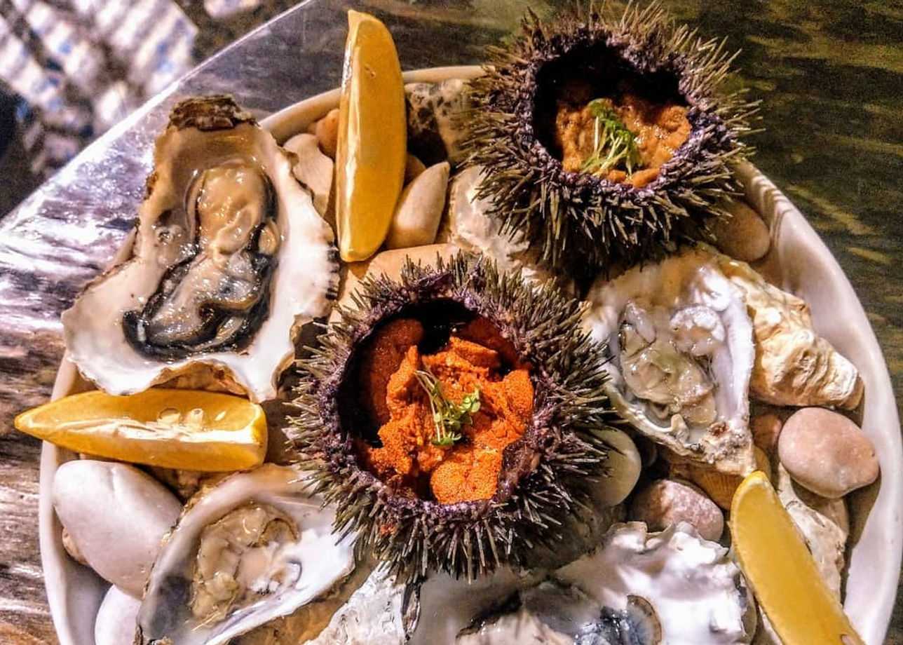 Морской еж