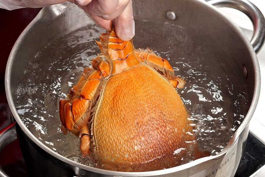 10 лучших рецептов из мяса камчатского краба | skarletta.ru
