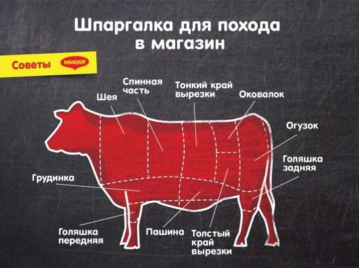 Какая часть говядины самая мягкая и вкусная, выбираем кусочек для сочного блюда - onwomen.ru