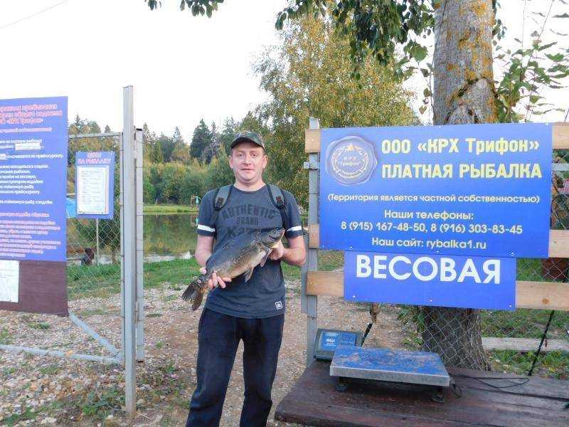 Новая бизнес идея, как можно заработать много и быстро.