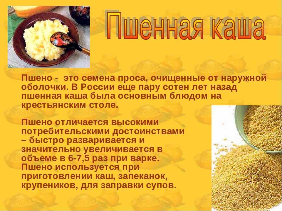 Пшенная каша. как правильно варить пшенную кашу на воде и на молоке