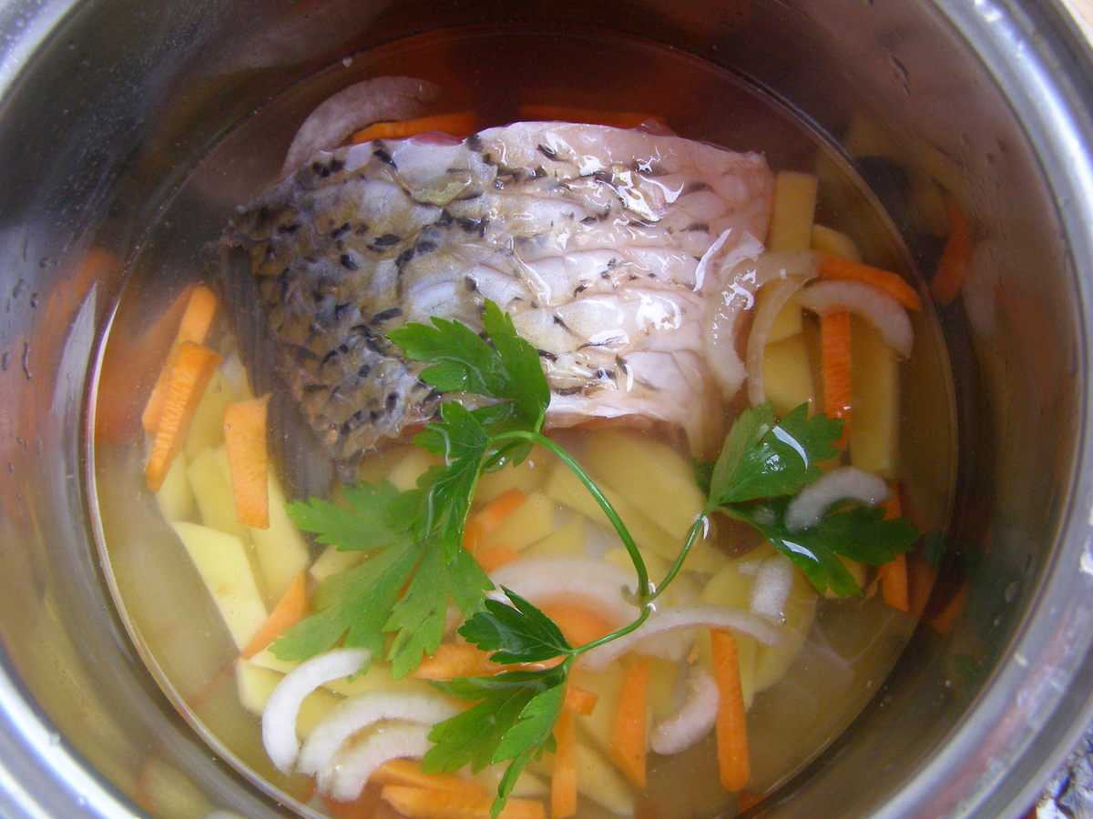Уха из головы карпа