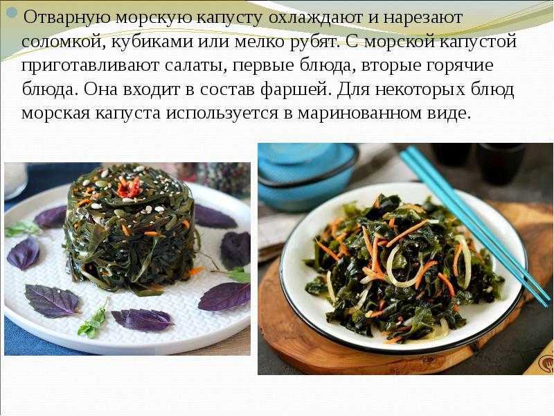 Морская капуста: польза и вред