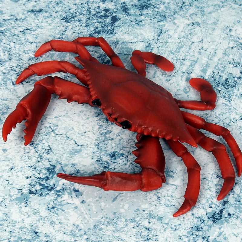 Как ловить крабов на черном море голыми руками и с использованием подручных средств