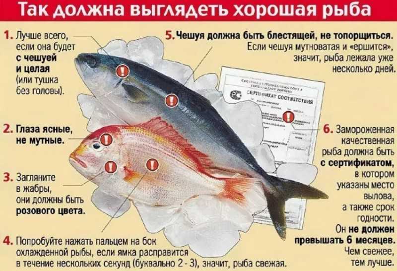 Рыба для жарки на сковороде: какая лучше. список самой вкусной рыбы