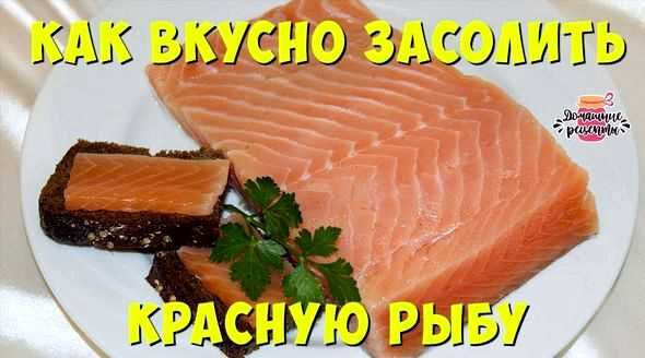 Как засолить лосось дома вкусно: рецепт приготовления рыбы целиком, быстрым способом, с зеленью и специями, советы, фото, видео