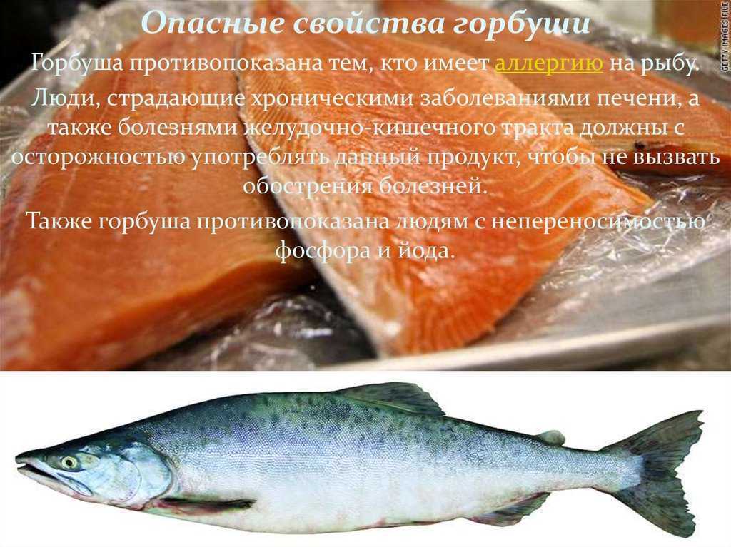 Диетические (нежирные) сорта рыб
