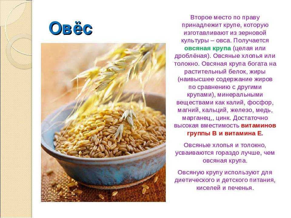 Отвар овса: чем полезен, как приготовить для очищения печени