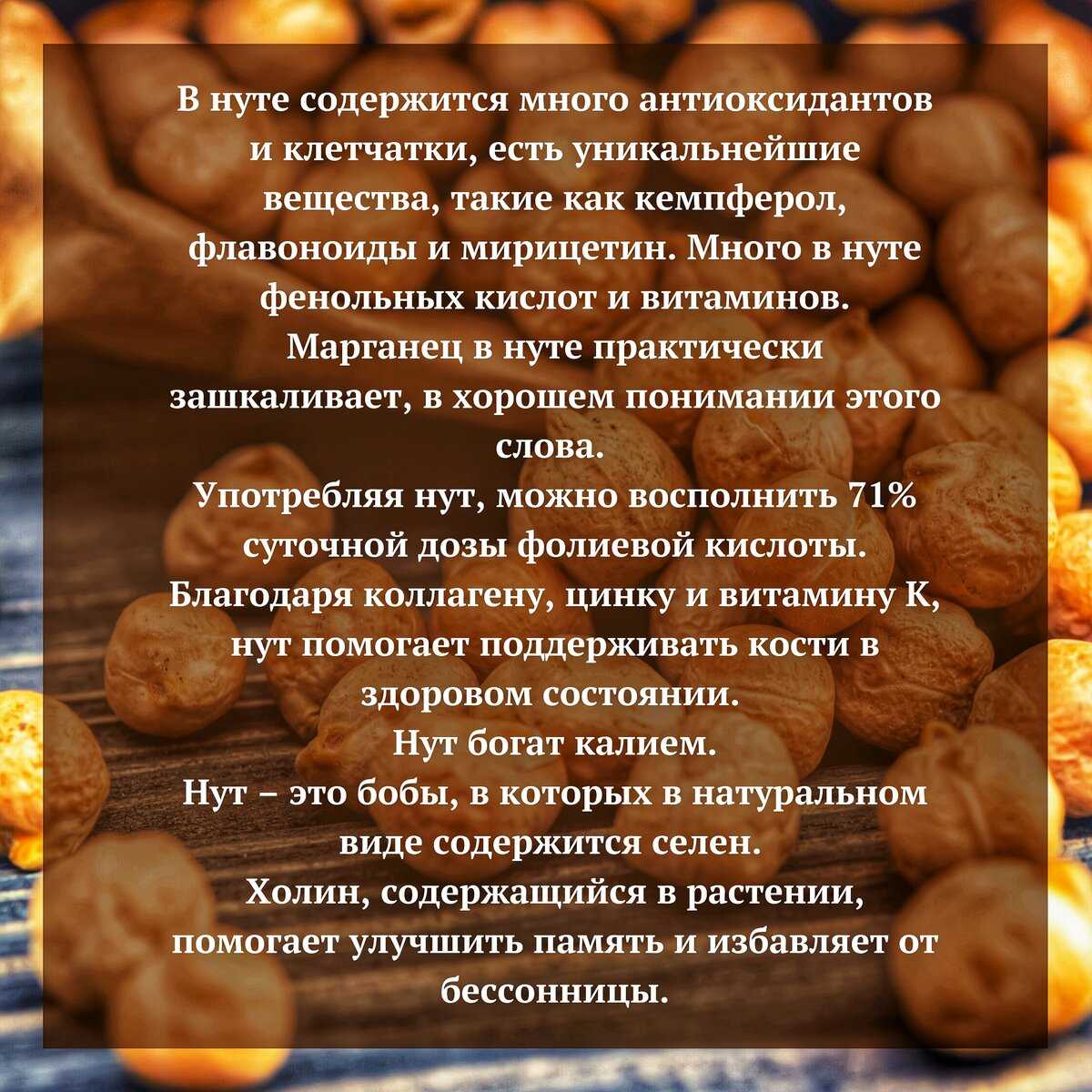 Мидии и устрицы – в чем между ними разница