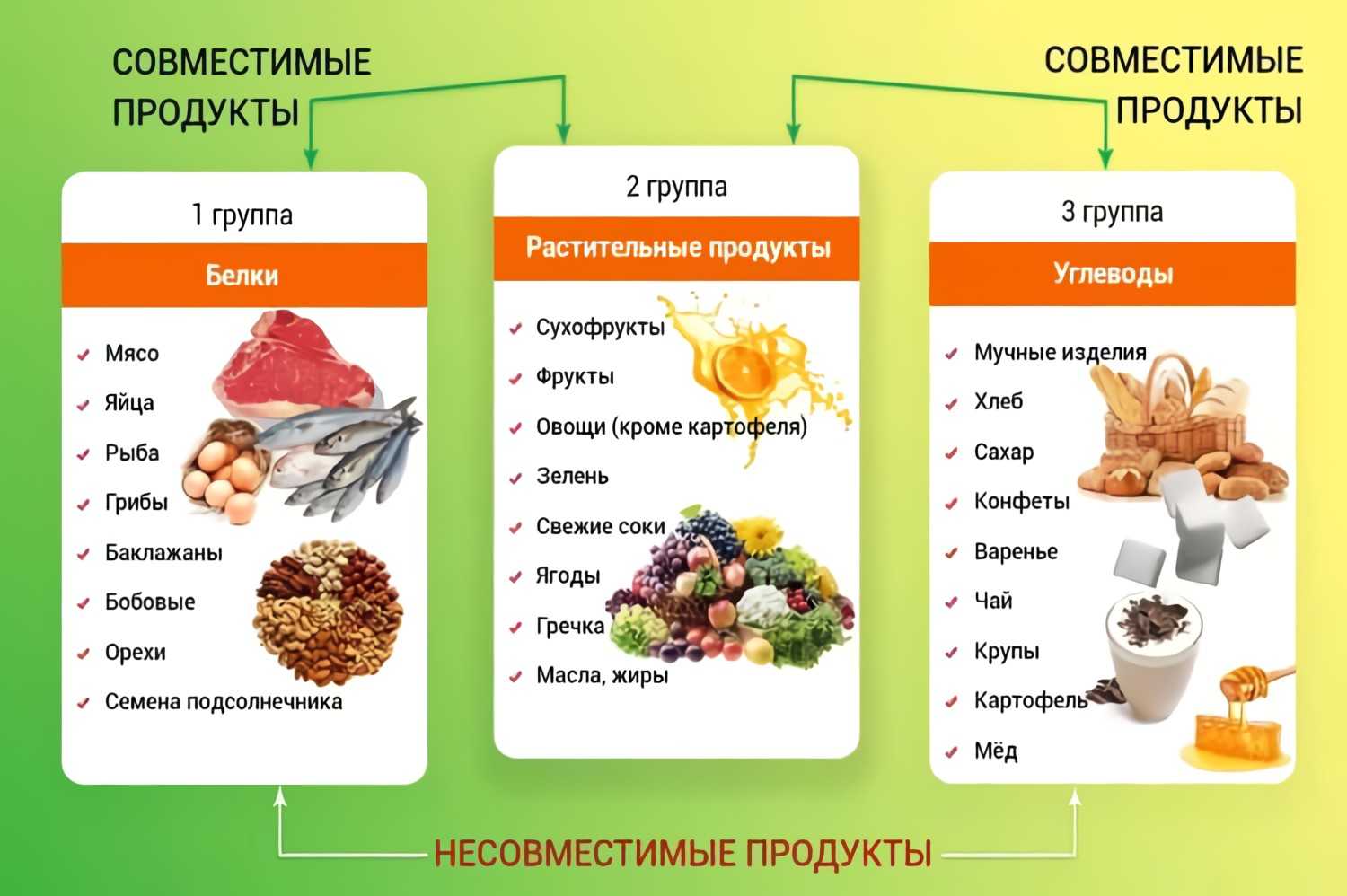 Продукты, которые нельзя есть вместе: 11 несовместимых сочетаний