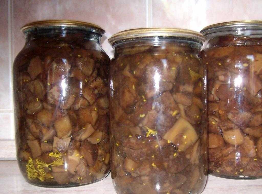 Самый вкусный суп из свинушек – проверено лично