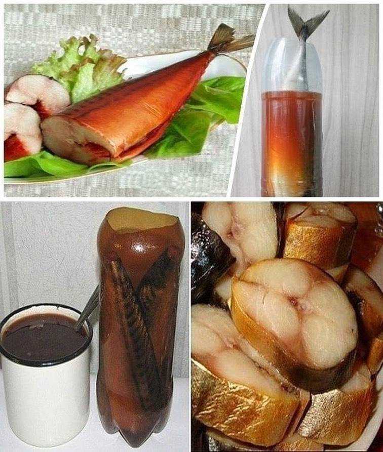 Малосольная скумбрия в домашних условиях: 5 несравненных рецептов вкусной малосольной скумбрии