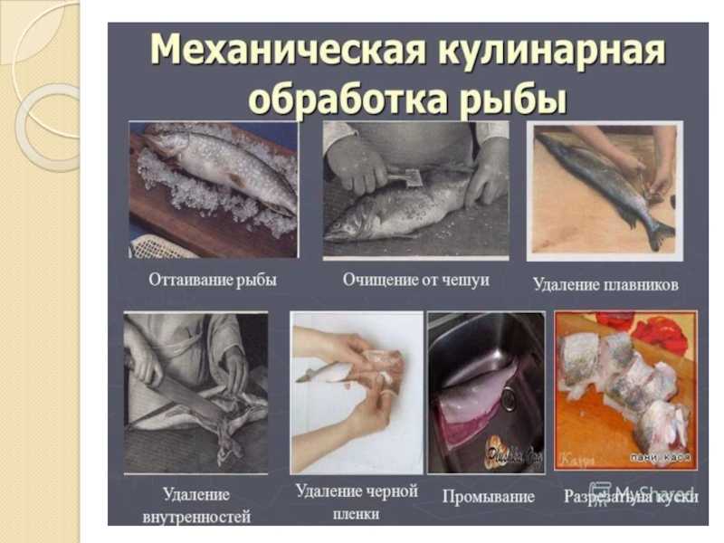 Что такое глазирование рыбы и как это делается