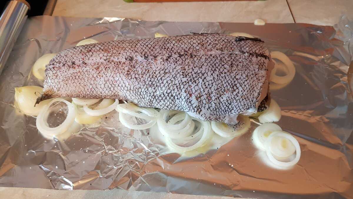 Рыба макрурус