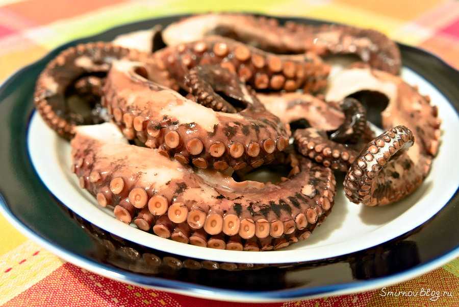 Как приготовить осьминога? 22 фото как готовить свежего осьминога в домашних условиях? пошаговые рецепты приготовления лучших блюд