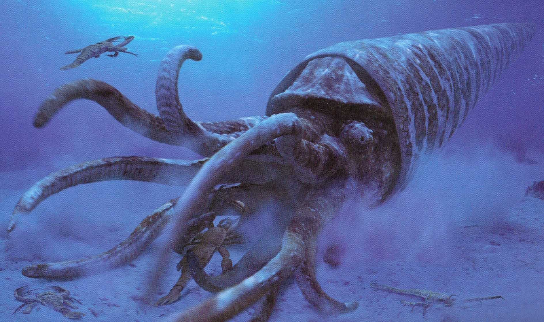 Интересные факты о морских животных. 12 самых невероятных фактов о морских животных, которые заставят вас удивляться!)
