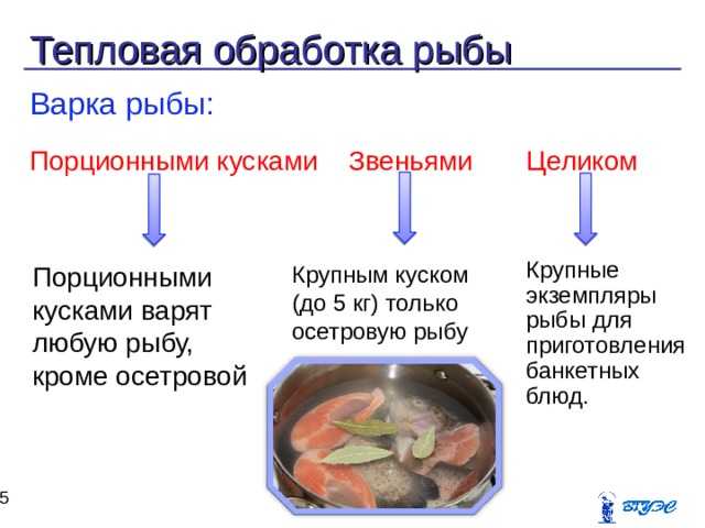 Рассолы для шприцевания рыбы