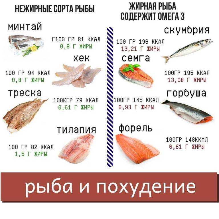 Речная рыба, наше богатство