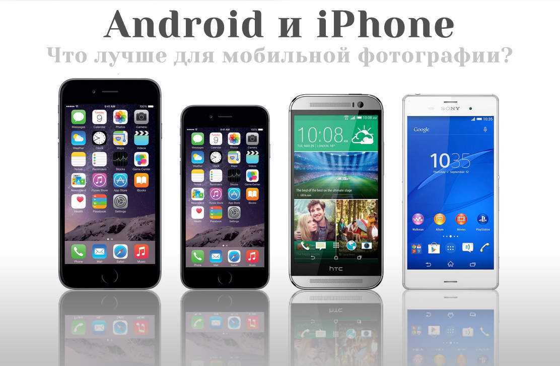 Какая рыба полезнее минтай или хек?