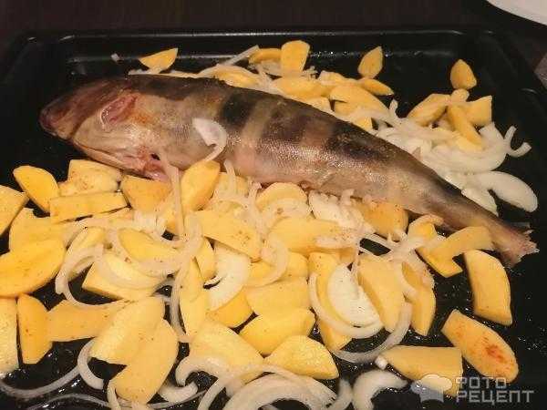 Терпуг что за рыба рецепты