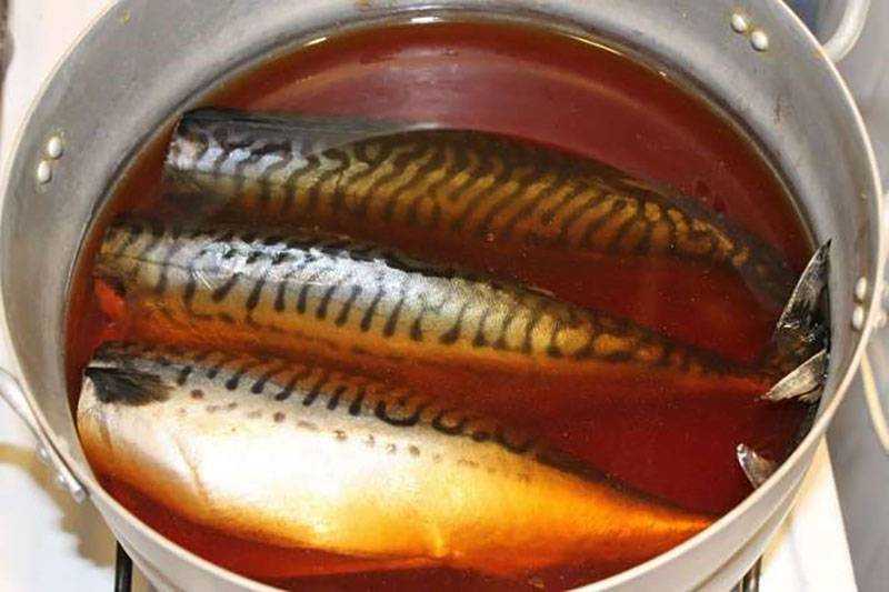 Как солить скумбрию в домашних условиях быстро и вкусно: рецепты соленой рыбы целиком и кусочками